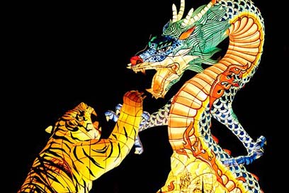 Tiger Lantern Summer Dragon Picture