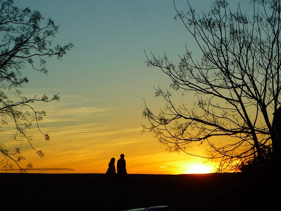 Trees Sunset Wall Adarve