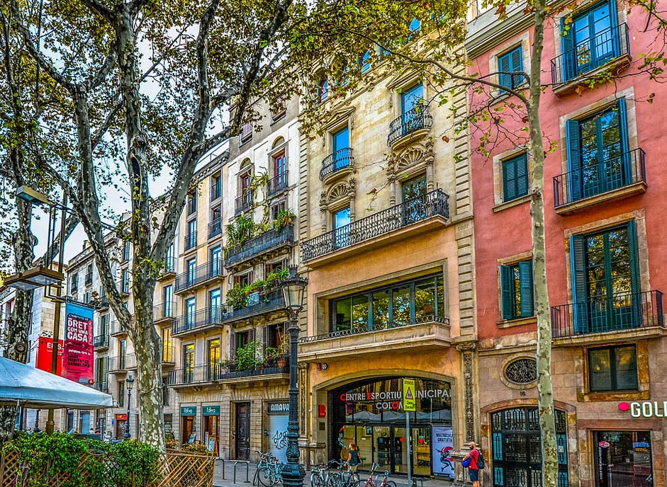 Tree Facade Spain Barcelona
