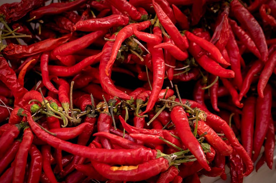 Spices Spain Chili-Pepper Majorca
