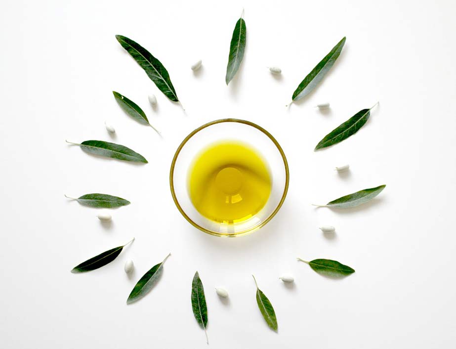 Plant Olive-Leaf Olive-Oil Olive