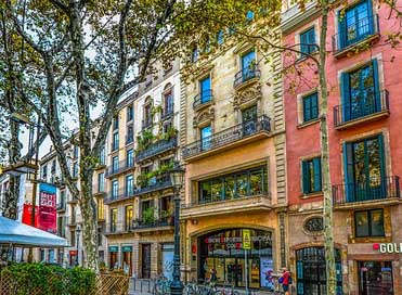 Barcelona Tree Facade Spain Picture