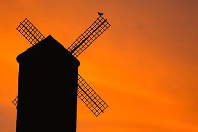 Windmill Silhouette Bird Old Picture