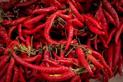 Majorca Spices Spain Chili-Pepper Picture
