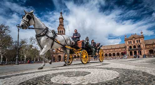 Sevilla Tourism Spain Horse Picture