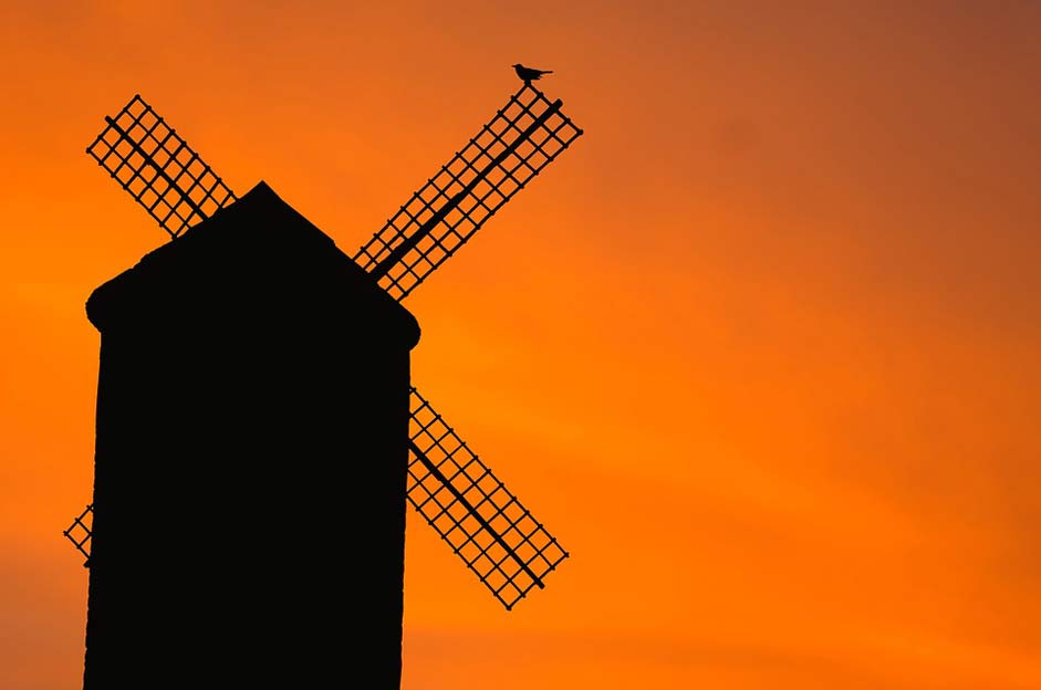 Silhouette Bird Old Windmill