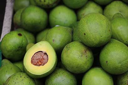 Avocado  Fruit-Stand Sri-Lanka Picture