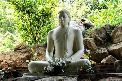 Buddha  Mahamevnawa Sri-Lanka Picture