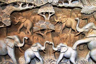 Nature Animals Closeup The-Art-Of Picture