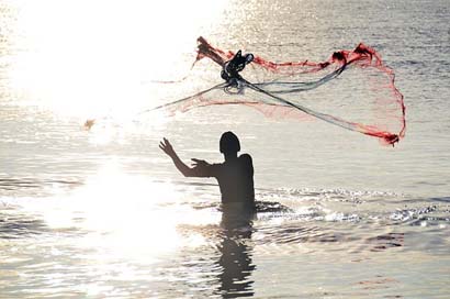 Sri-Lanka Throw Web Fisherman Picture