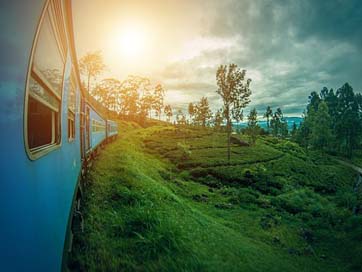 Srilanka Hill Landscape Ella Picture