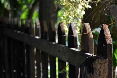 Fence Fresh Morning-Time Leading-Line Picture