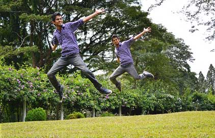 Joy Many Multiplicity Jump Picture