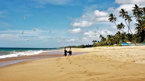 Sri-Lanka The-Fisherman Characters Palm-Trees Picture