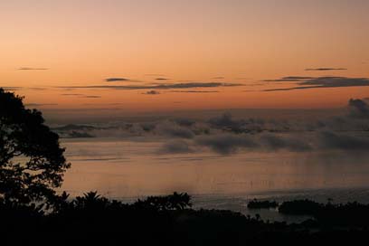 Sunset Suriname Fog Jungle Picture