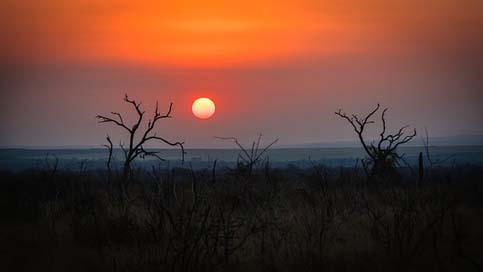Swaziland Savannah Natural Africa Picture