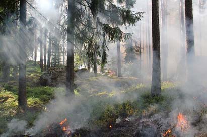 Styggkrret Fire Burning Reserve Picture