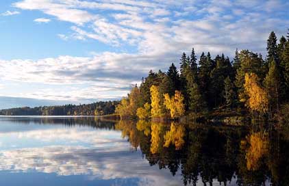 Flaten Nature Reserve Stockholm-County Picture