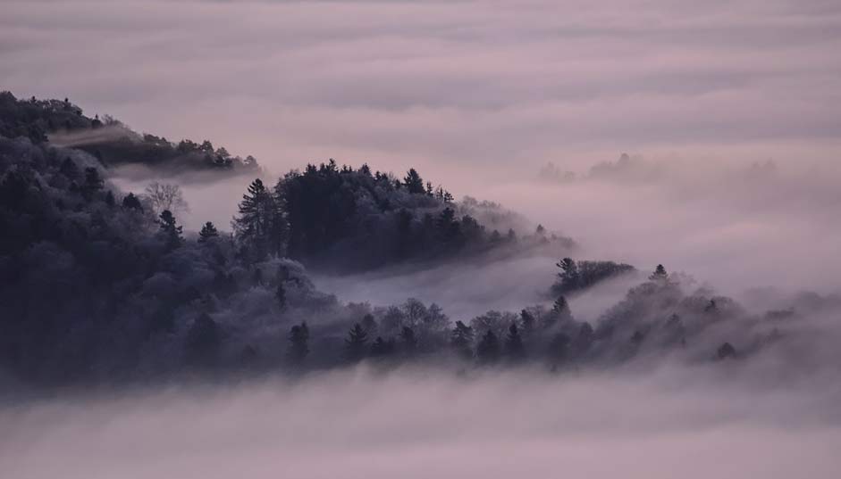 Nature Landscape Winter Fog