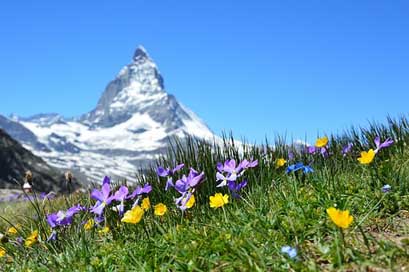 Matterhorn Mountains Zermatt Alpine Picture