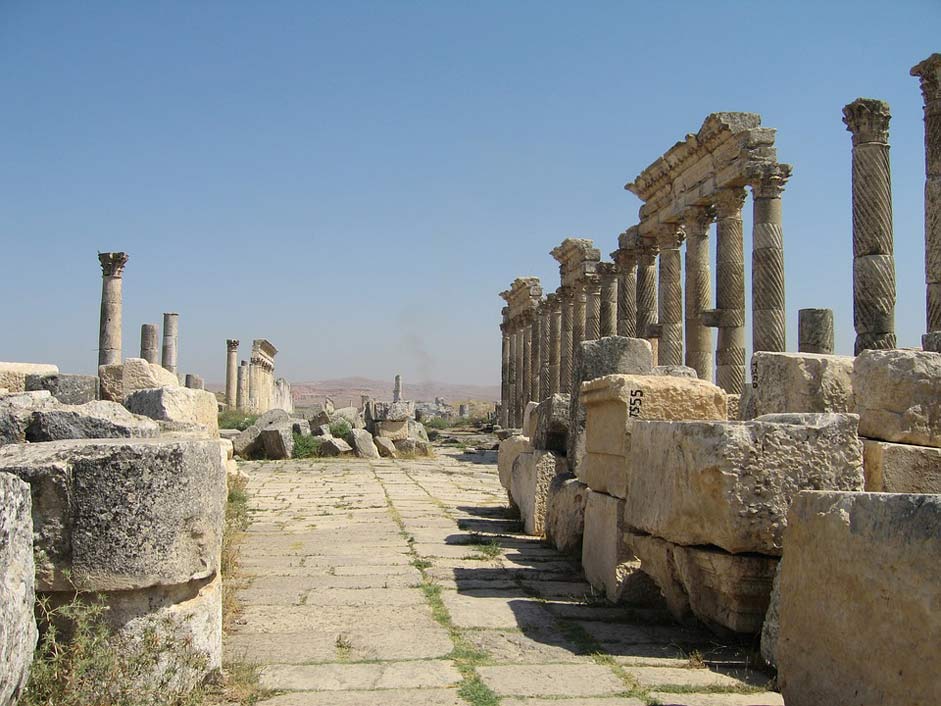  Syria Apamea Thistle