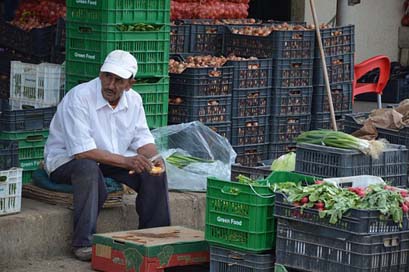Vegetables Asylum-Seekers Dealer Market Picture