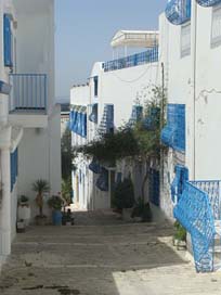 Tunisia Blue Houses Arabic Picture