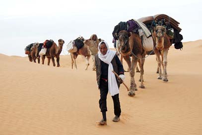 Tunisia Caravan Desert Bedouin Picture