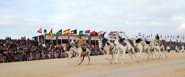 Tunisia Sahara Festival Camel-Racing Picture