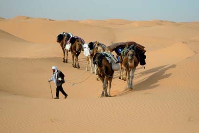 Tunisia Sand Desert Caravan Picture