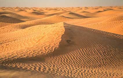 Desert  Sahara Tunisia Picture