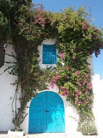 Tunisia Goal Flowers Door Picture