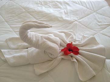 Swan Vacations Flower Towel Picture
