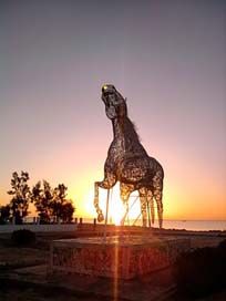 Tunisia Sunset Horse Sculpture Picture