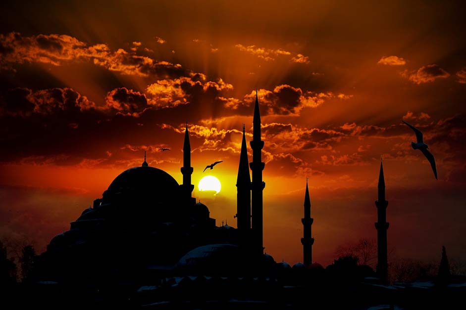 Gulls Eminn Mosque Suleymaniye-Mosque