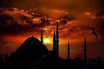 Suleymaniye-Mosque Gulls Eminn Mosque Picture