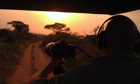 Safari Uganda Africa Sunset Picture