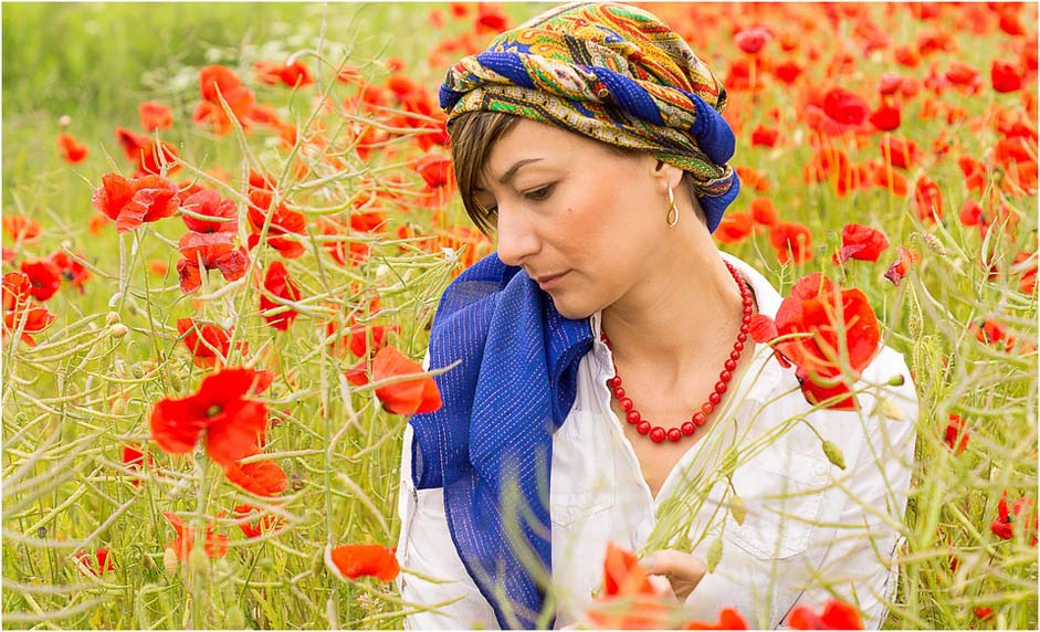 Flower Summer Poppy Red