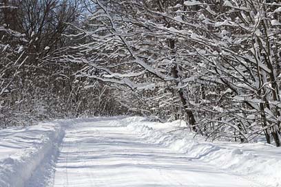 Winter Landscape Scenic Snow Picture