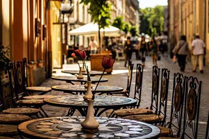 Lviv Ukraine Street Lions Picture