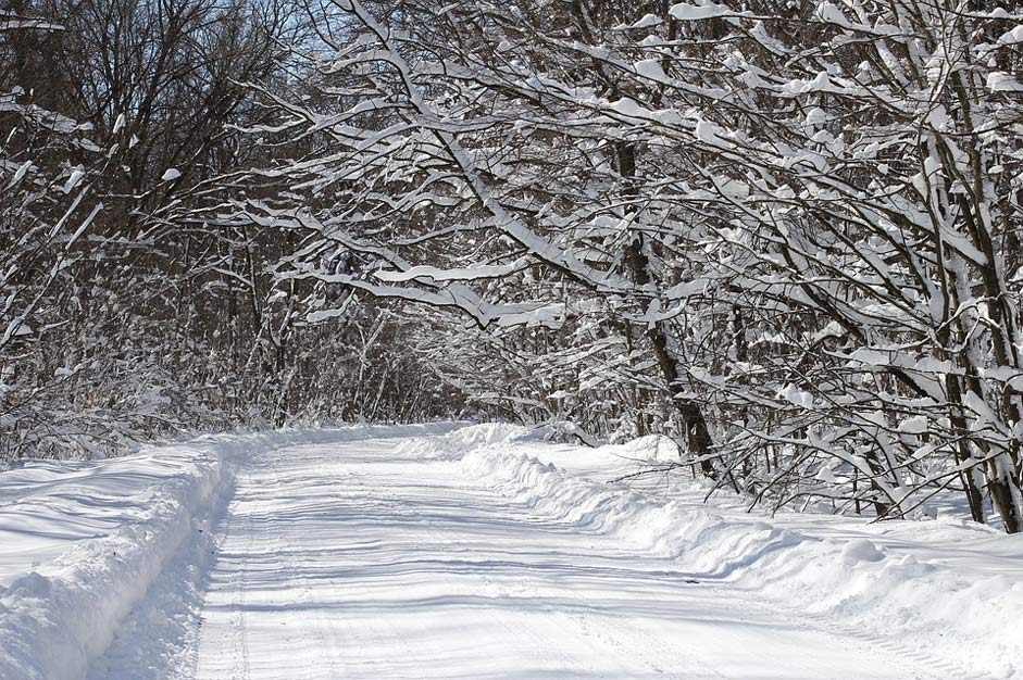 Landscape Scenic Snow Winter