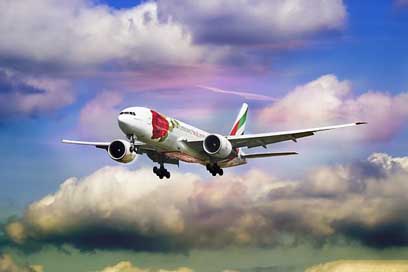 Emirate Aircraft Rose Airline Picture