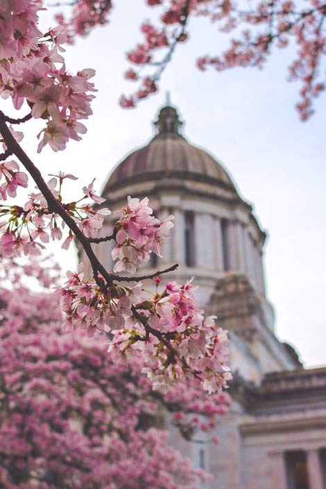 State Washington Building Capitol