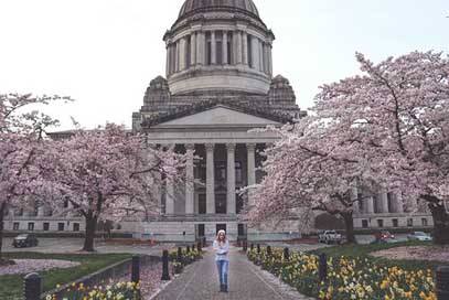 Capitol State Washington Building Picture