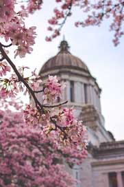 Capitol State Washington Building Picture