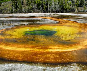 Geyser Yellowstone Wyoming National-Park Picture