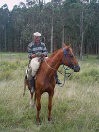 Arriero Rider Paisano Uruguay Picture