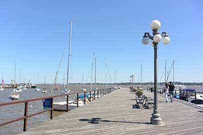 Bay Boats Since Lanterns Picture