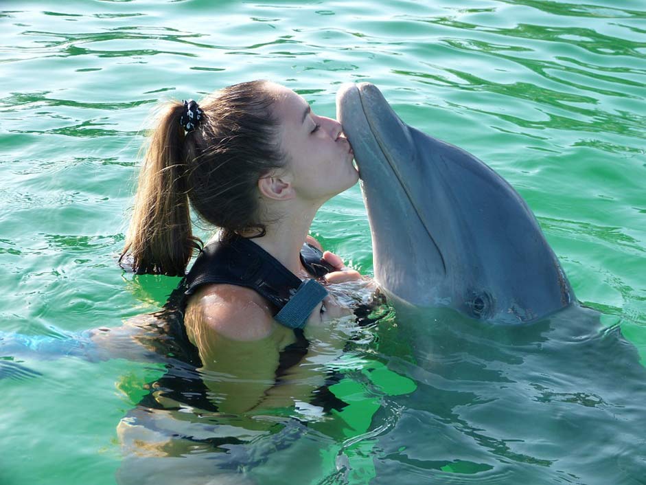 Fun Venezuela Margarita-Island Dolphin