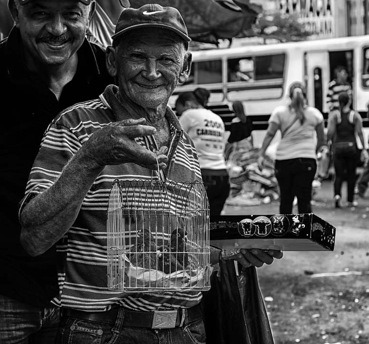 Birds Selling-Parrots Men Man